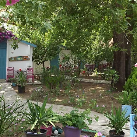 Zebu Hotel